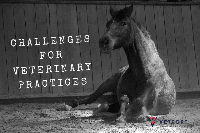 challenges faced by new-age veterinary practices